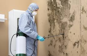 Best HVAC Mold Inspection and Cleaning  in New Freedom, PA